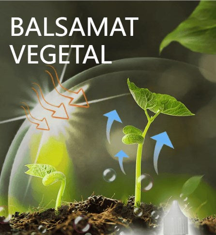 💥【3 fľaše】🌱🌱 Výživný roztok na podporu rastu rastlín