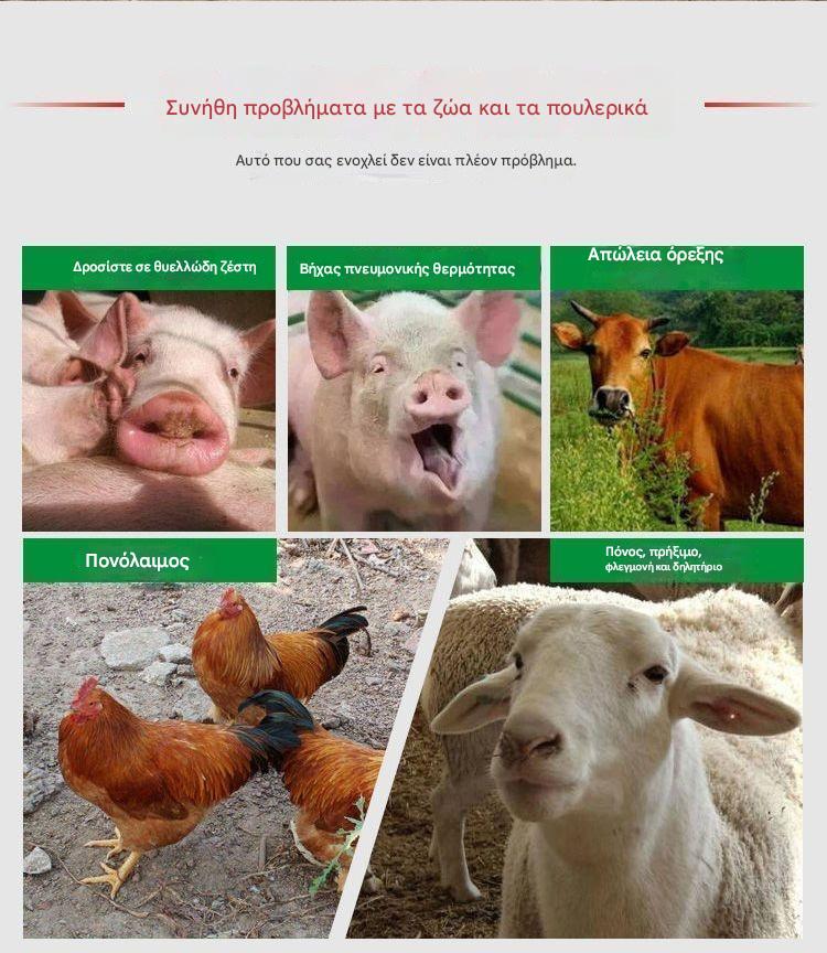 Drůbež všech věkových kategorií ✅Kuřata, kachny, husy s nachlazením ✅Chrápání, kašel ✅Antivirový lék ✅Horečka u slepic ✅Obecně prasata, krávy, ovce
