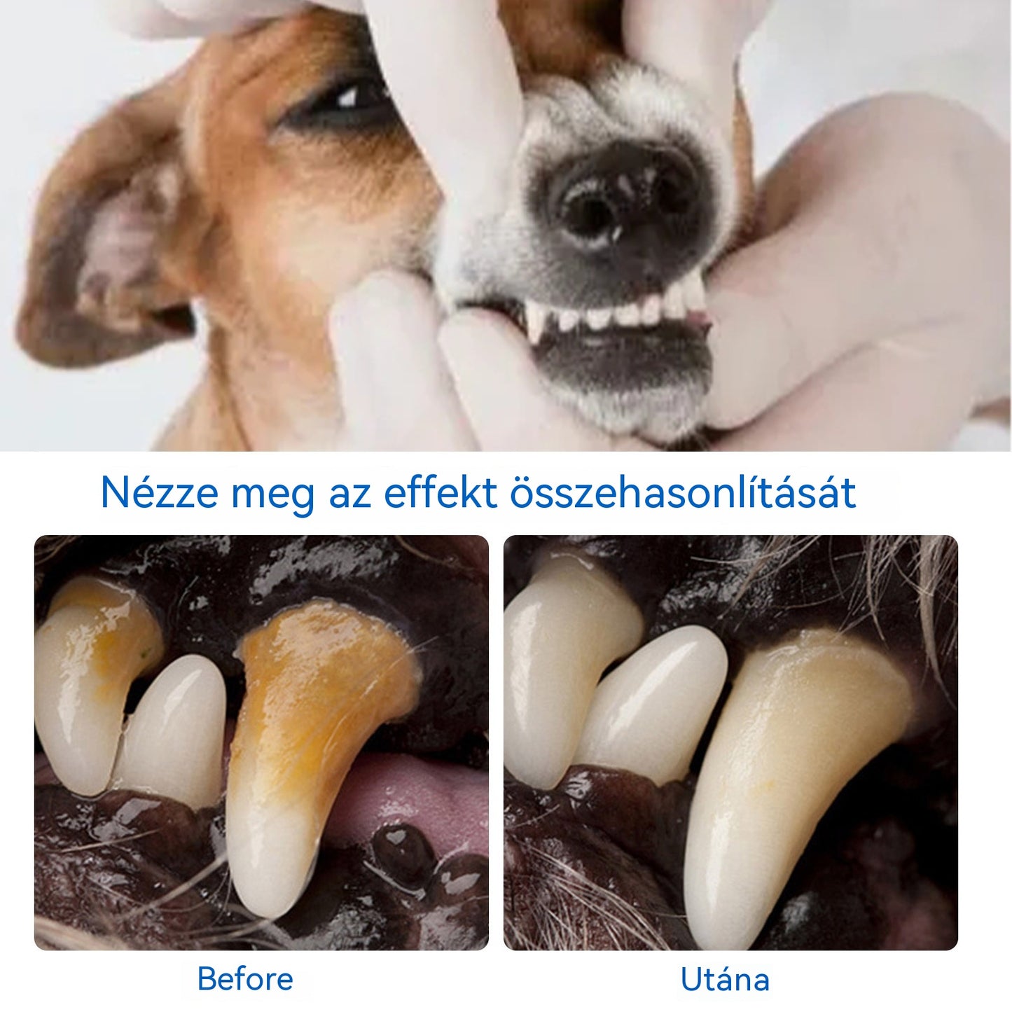🐶Vásároljon 1-et, és kapjon 1-et ingyen! Szájtisztító hab kisállatoknak
