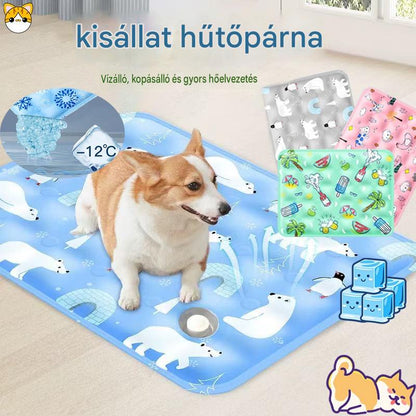 ❄️ Hűtse le kedvencét azonnal – Gyors vízaktivált hűtő jégmatrac (karcolásálló, szivárgásmentes) – Utánvétes 🐾🧊