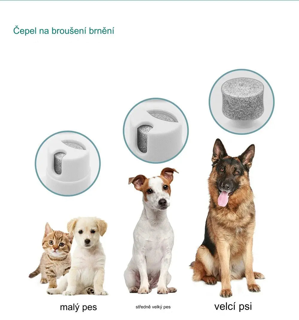 🐕😺 Mini elektrický holiaci strojček pre psov a mačky 4 v 1 + nožnice na nechty