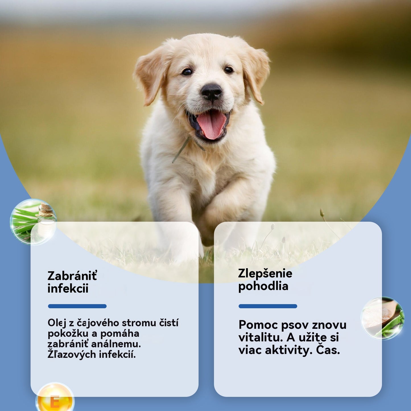 🔥🐶Sprej na anální žlázy pro psy: Jemné složení, pečuje o anální žlázy a stolici, příjemná vůně.