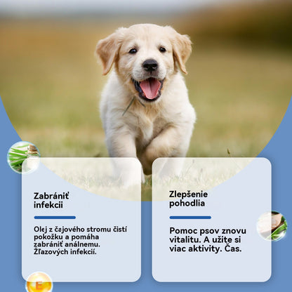 🔥🐶Sprej na anální žlázy pro psy: Jemné složení, pečuje o anální žlázy a stolici, příjemná vůně.