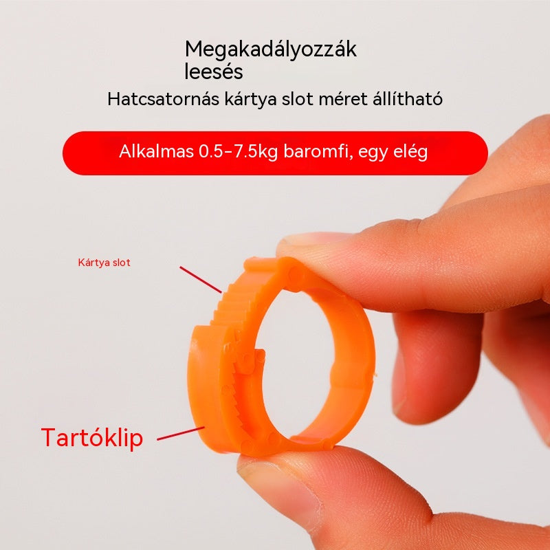 🐓🔢 Állítható, pattinthatós baromfi lábgűrű ✨