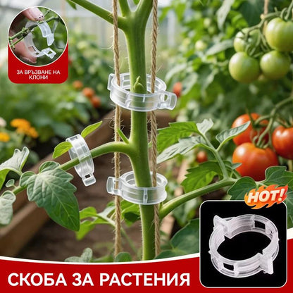 【🔥200 броя】Щипка за фиксиране на растежа на разсад