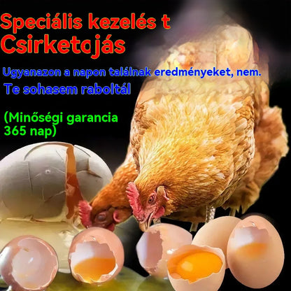 💥🐓Egyetlen üveg gyógyszer meggyógyíthatja az összes csirkebetegséget