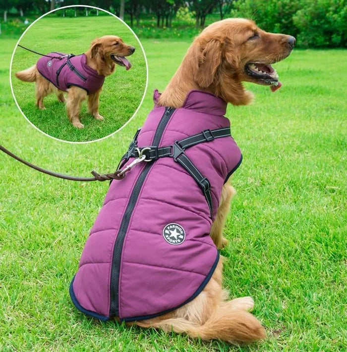 🐱🐶❄️Meleg téli kabát kutyáknak és macskáknak – Vízálló kivitel fényvisszaverő elemekkel és beépített hámrésszel. S-től 5XL-es méretig – minden fajtához megfelelő! ✨