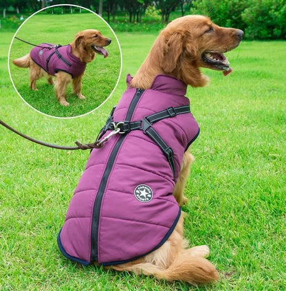 🐱🐶❄️Meleg téli kabát kutyáknak és macskáknak – Vízálló kivitel fényvisszaverő elemekkel és beépített hámrésszel. S-től 5XL-es méretig – minden fajtához megfelelő! ✨
