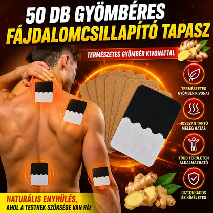 🔥【50 darab 7900 euróért】 🔥Legkelendőbb termék – 50% kedvezmény🔥 Gyömbér fájdalomcsillapító tapaszok