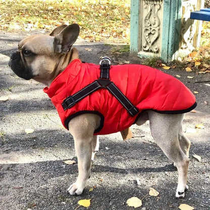🐱🐶❄️Teplá zateplená bunda pre psov a mačky – vodeodolná, s reflexnými prvkami a integrovaným postrojom. Veľkosti S-5XL pre všetky plemená! ✨