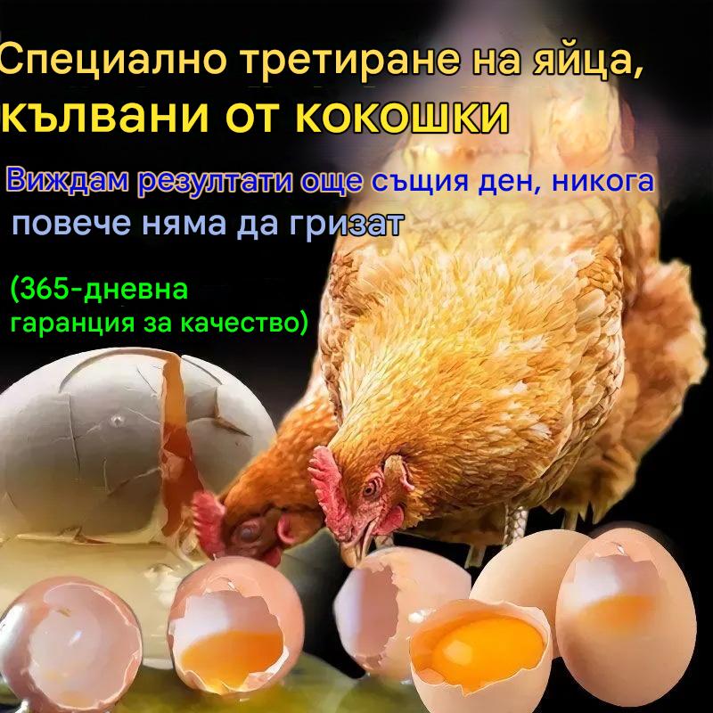 1 бутилка лекарство за всички болести по пилетата✅Пилета, които сериозно кълват пера, пръсти и седалище ✅Пилета, които кълват яйца