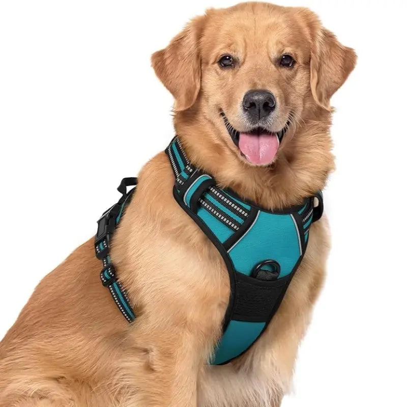 🦮Vodítko pre psa bez ťahania