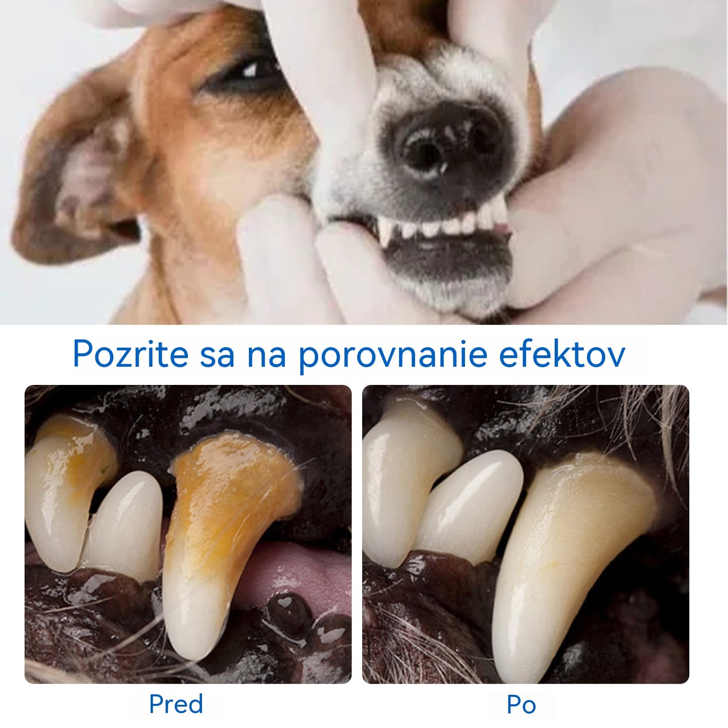 🐶Vásároljon 1-et, és kapjon 1-et ingyen! Szájtisztító hab kisállatoknak