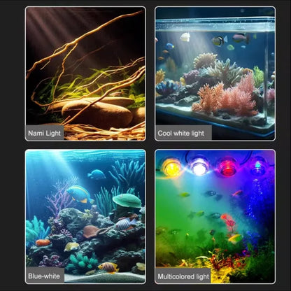 🐟🐠 Потопяем LED прожектор за аквариум, цветна светлина с дистанционно управление за водни растения.