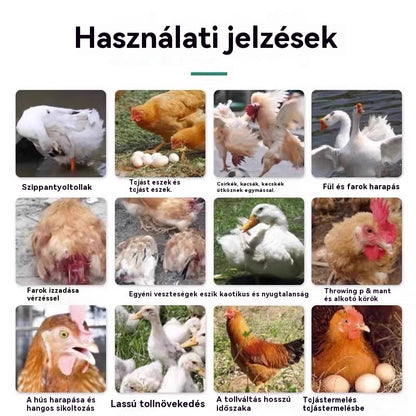 💥🐓Egyetlen üveg gyógyszer meggyógyíthatja az összes csirkebetegséget