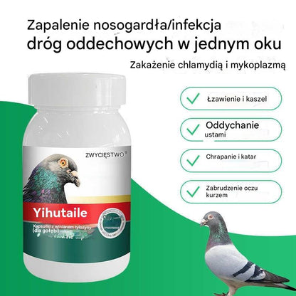 🕊️100 kapsułek, specjalny lek dla gołębi pocztowych, gołębie pocztowe, kaszel i świszczący oddech, łzawienie, niewyraźne widzenie piasku w oczach, czarny i czerwony nos