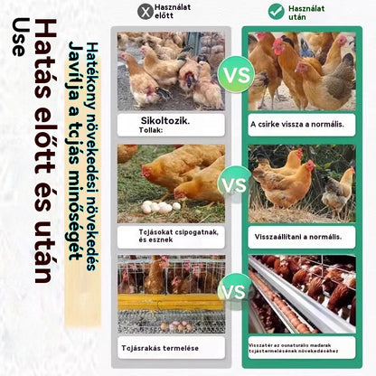 💥🐓Egyetlen üveg gyógyszer meggyógyíthatja az összes csirkebetegséget