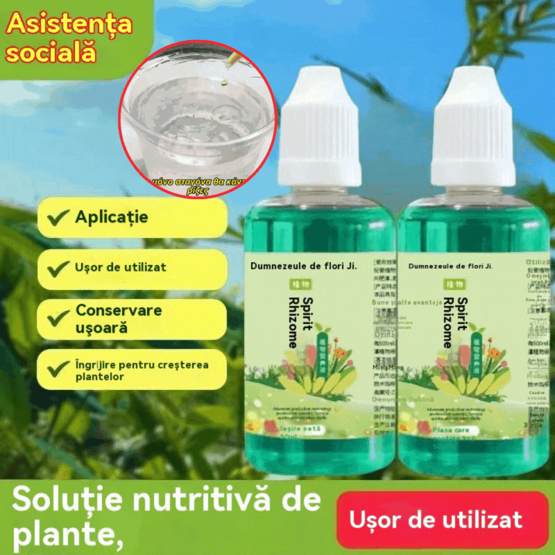 🌱🌱【6 μπουκάλια】📢📢Η χαμηλότερη τιμή για περιορισμένο χρονικό διάστημα!!!💥🔥Γενικό διάλυμα θρεπτικών συστατικών φυτών