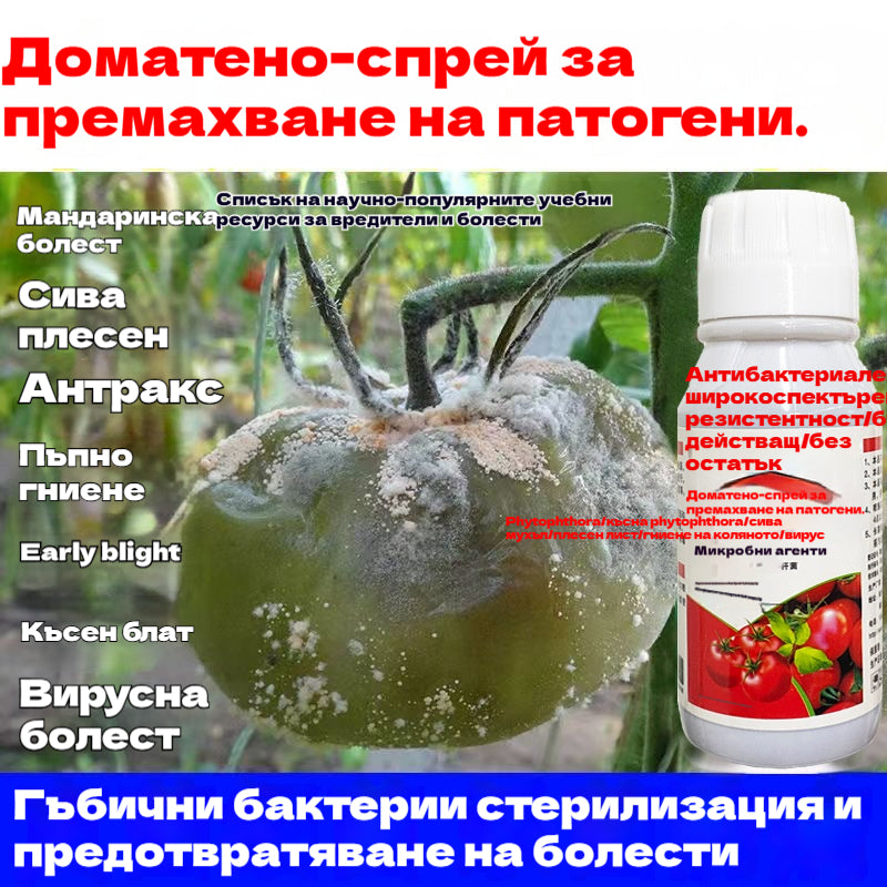 🍅🍎🍓🍓 Разтворът с хранителни вещества за растения насърчава уголемяването на плодовете, увеличава сладостта и увеличава добива.