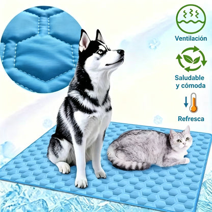 🧊🐶 Hűsítő szőnyeg kutyáknak és macskáknak – a megkönnyebbülés, amire kedvenceidnek szüksége van ezen a nyáron 🐱✨