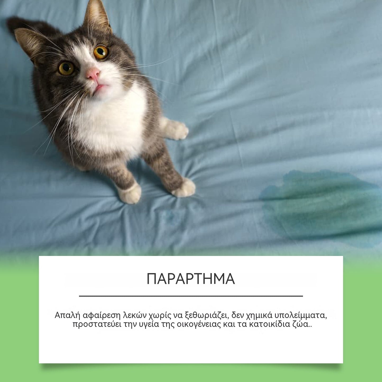 💓Προσφορά Περιορισμένης Διάρκειας💓【Αγοράστε 1 και πάρτε 1 Δωρεάν】🐶🐱Αφαιρετικό λεκέδων για κατοικίδια (γάτας και σκύλου)