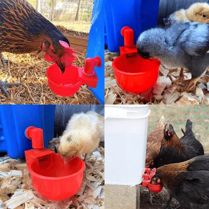 🔥🐔【Kupite 5, dobijte 5 besplatno】Automatska posuda za piće za perad
