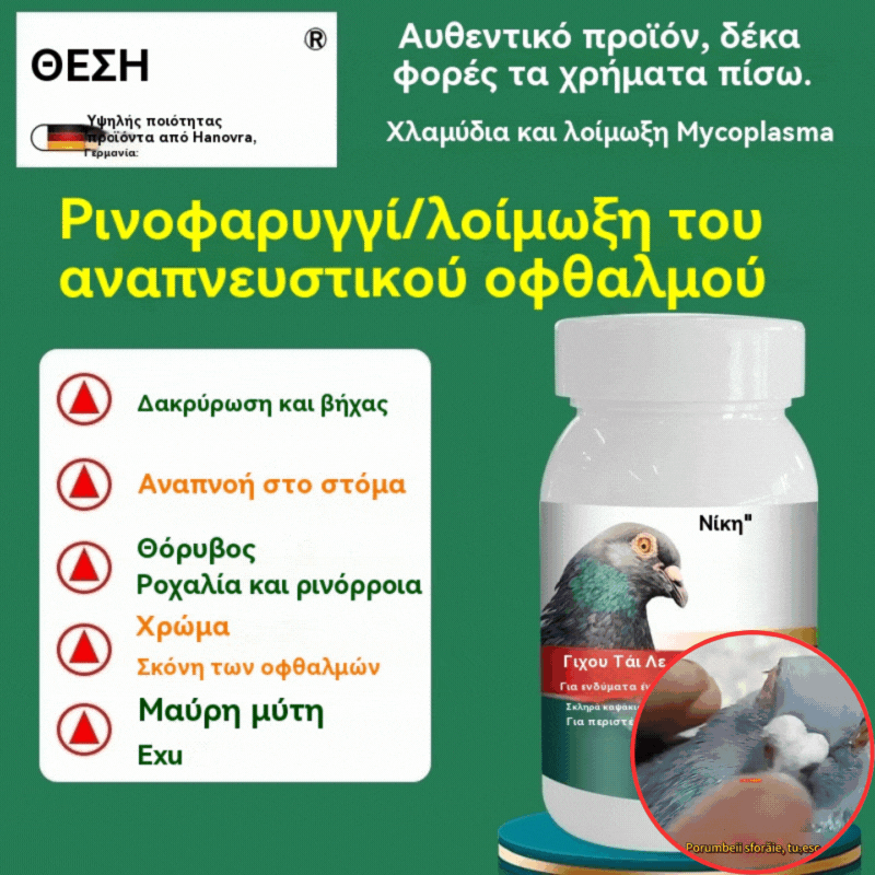 🔥Ειδική προσφορά【100 κάψουλες】🕊️ Φάρμακο για περιστέρια για κρυολογήματα, βήχα και άσθμα της ανώτερης και κατώτερης αναπνευστικής οδού