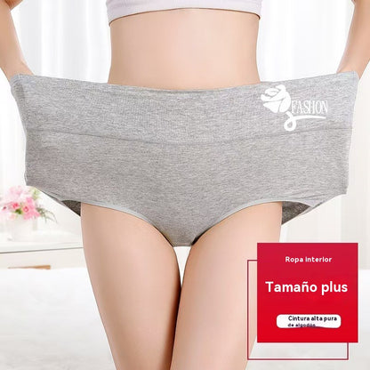 💖Τελευταία ημέρα 50% έκπτωση - Ψηλόμεσο αρματωτήρι γλουτών από βαμβάκι υψηλής ποιότητας✨️ (40-100 κιλά)