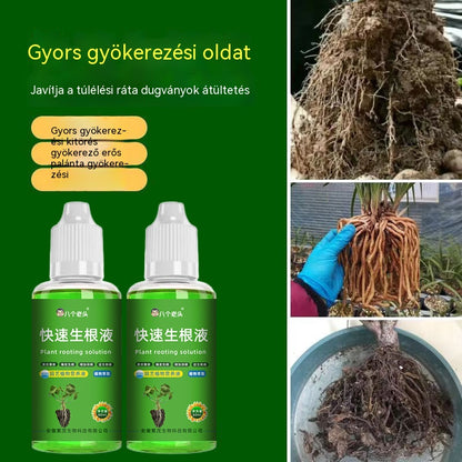 【10 üveg】Gyorsgyökereztető Oldat, Univerzális Növénygyökereztető Oldat Hidroponikához és Átültetéshez