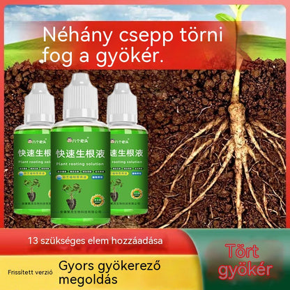 【10 üveg】Gyorsgyökereztető Oldat, Univerzális Növénygyökereztető Oldat Hidroponikához és Átültetéshez