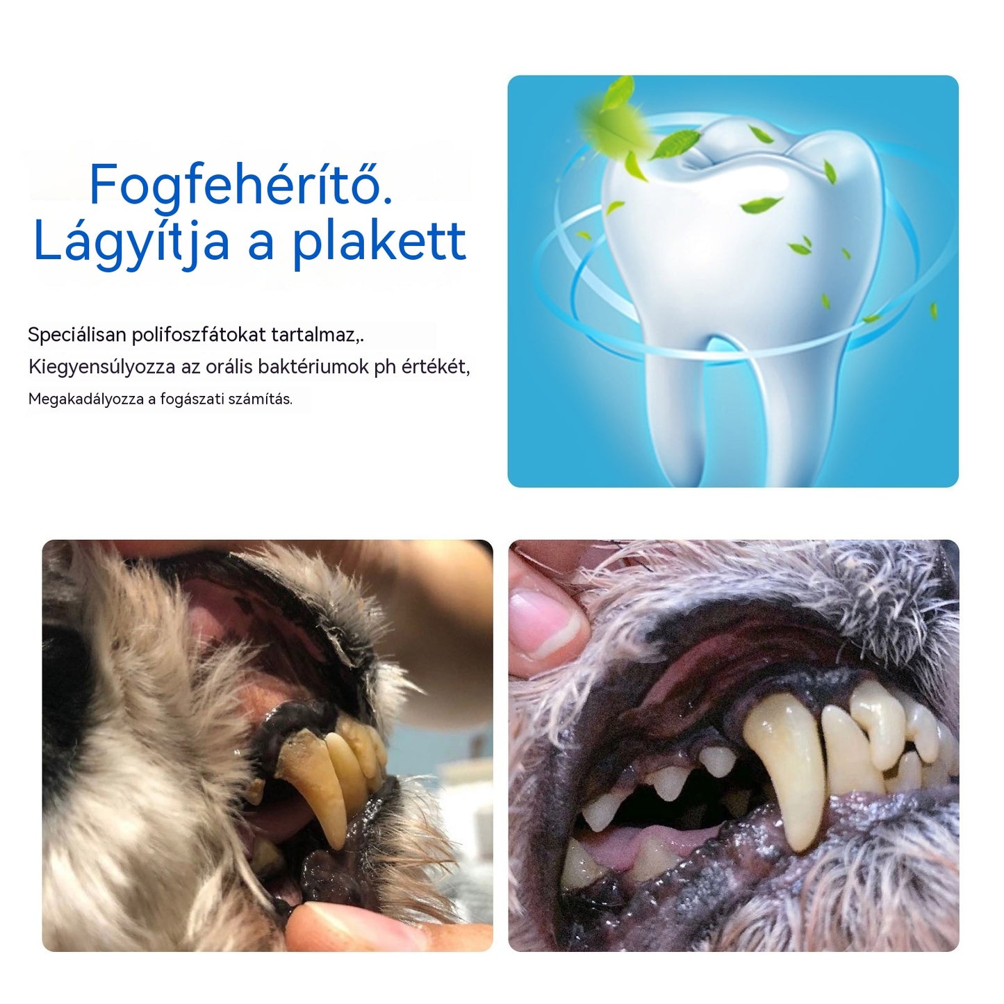 🐶Vásároljon 1-et, és kapjon 1-et ingyen! Szájtisztító hab kisállatoknak