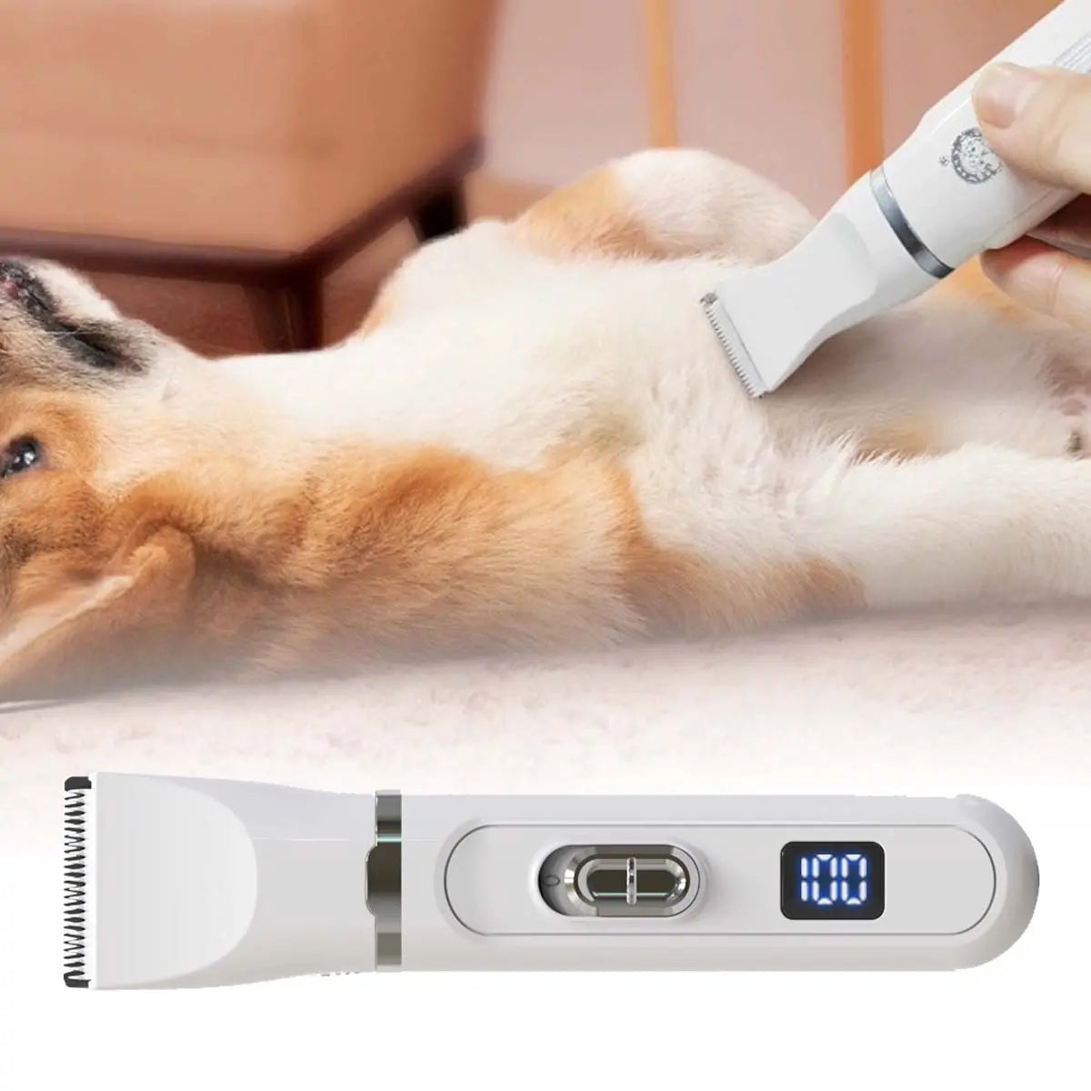 🐕😺 Mini elektrický holiaci strojček pre psov a mačky 4 v 1 + nožnice na nechty