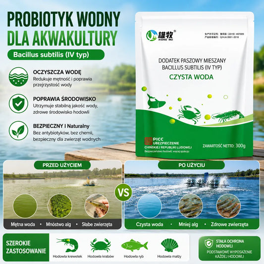 🔥 Bacillus subtilis akwakultura oczyszczacz wody specjalny akwakultura stojąca