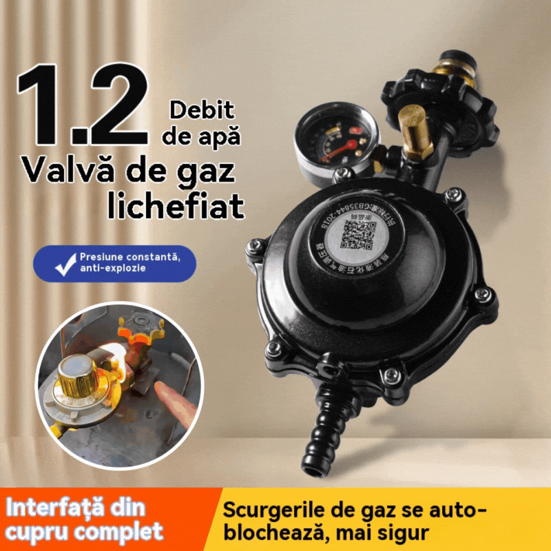 👍Vysokoprietokový redukčný ventil LPG s ochranou proti výbuchu pre domáce použitie | Bezpečnostný ventil | Automatické vypnutie
