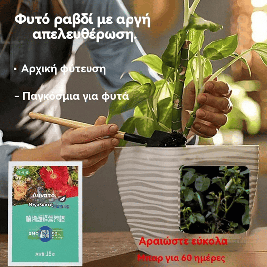 【📢📢Η χαμηλότερη τιμή για περιορισμένο χρονικό διάστημα!!!💥】【3 κουτιά】Γενικές ταμπλέτες θρέψης φυτών --- λίπασμα φυτών