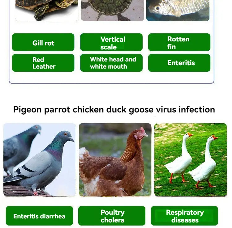 🕊️🐔Állatgyógyászati készítmények Oxitetraciklin Antibakteriális, gyulladáscsökkentő és hasmenés elleni tabletta