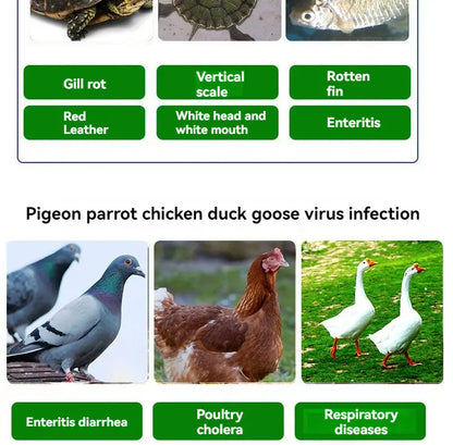 🕊️🐔Állatgyógyászati készítmények Oxitetraciklin Antibakteriális, gyulladáscsökkentő és hasmenés elleni tabletta