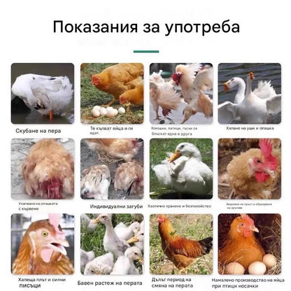 1 бутилка лекарство за всички болести по пилетата✅Пилета, които сериозно кълват пера, пръсти и седалище ✅Пилета, които кълват яйца ✅Недохранване при домашни птици ✅Калциева добавка за домашни птици за допълване на храненето ✅Универсален за домашни птици