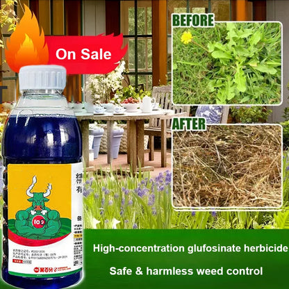 【Kupite 1, dobijte 2 besplatno】 Visoko koncentrirani amonijev glufosinat herbicid