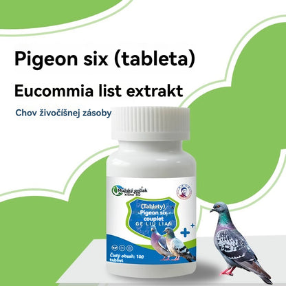 🕊️Holuby majú mäkkú stolicu, vodnatú a zelenú stolicu, antivirotikum na mor a prechladnutie