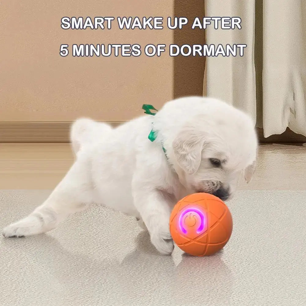 🎁【2 termék】Intelligens ugráló interaktív labda háziállatoknak🐶