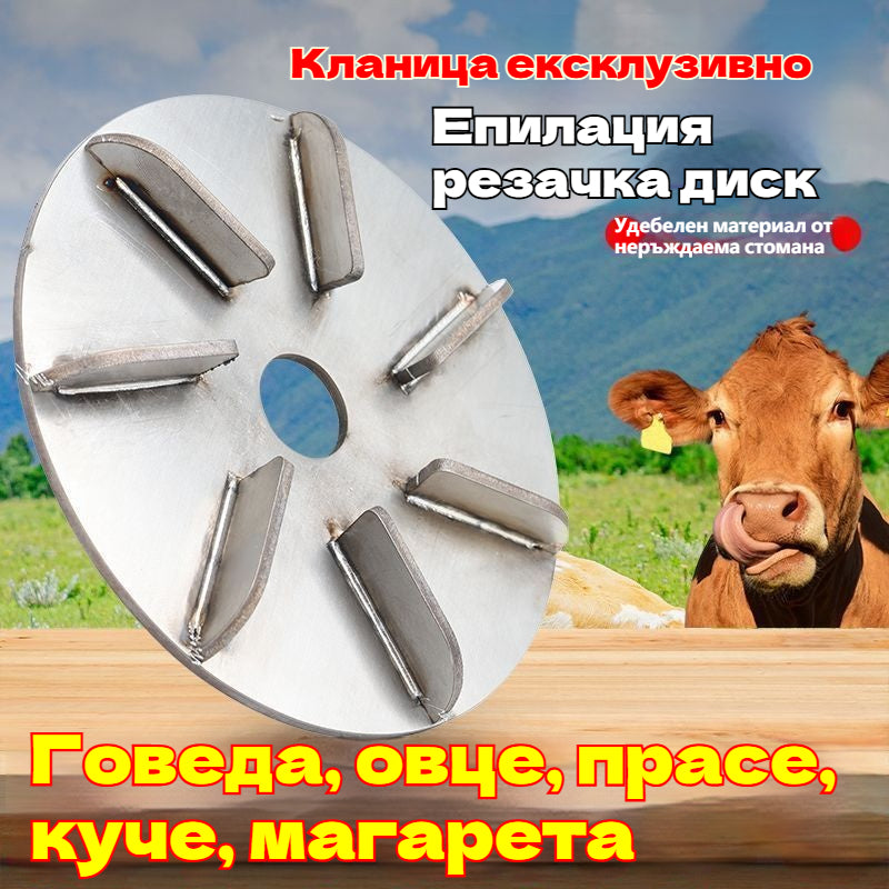 🔥Купете 1, вземете 1 безплатно🔥Нов инструмент за обезкосмяване, специално предназначен за кланици, електрическа ъглошлайф за остъргване на свинска и кравешка козина, с диск за остъргване.