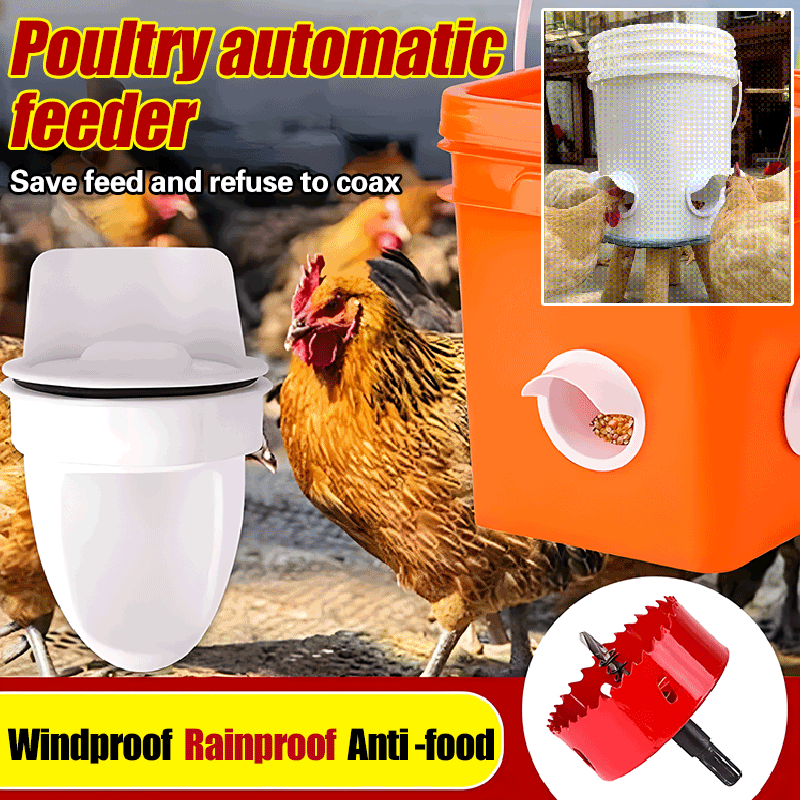🐓【Szúrószerszám + 5 etető】Automatikus etető csirkéknek, kacsáknak és libáknak