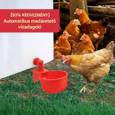 🔥🐔【10 darab】Automatikus baromfi itató, nincs szükség kézi etetésre