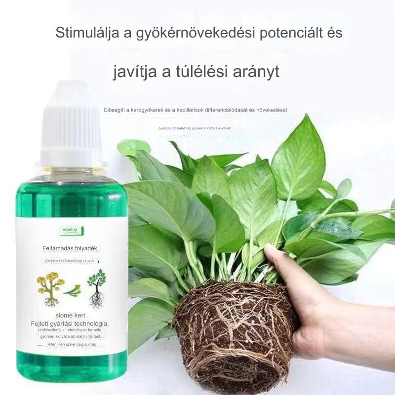 🌱🌱【Vásároljon 3-at, kap 3-at ingyen】Növény- és virágaktiváló folyékony oldat