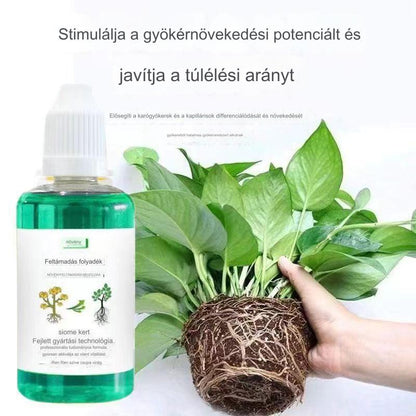 🌱🌱【Vásároljon 3-at, kap 3-at ingyen】Növény- és virágaktiváló folyékony oldat